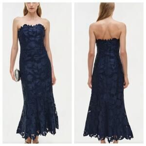 Simkhai Valletta Strapless Embroidered Midi Dress Size 4